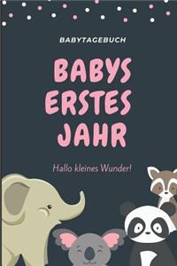 Babytagebuch Babys Erstes Jahr Hallo Kleines Wunder