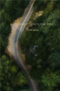 Journey Through Pines