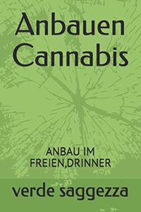 Anbauen Cannabis