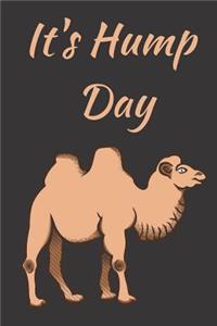 It's Hump Day