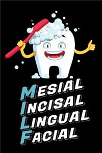Mesial Incisal Lingual Facial