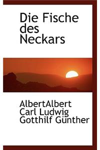 Die Fische Des Neckars