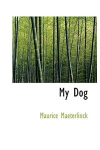 My Dog