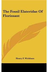 The Fossil Elateridae of Florissant