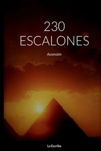 230 escalones-