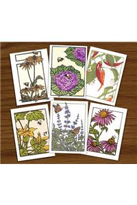 Bees, Butterflies & Blooms Assortment