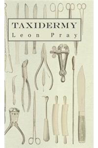 Taxidermy