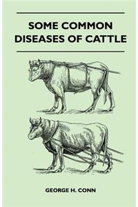 Some Common Diseases of Cattle