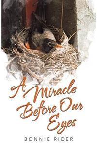 Miracle Before Our Eyes