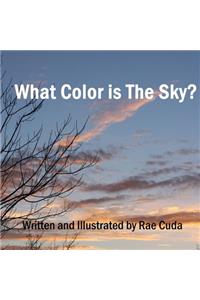 What Color is the Sky?