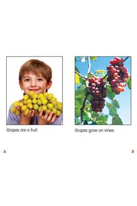 All about Grapes