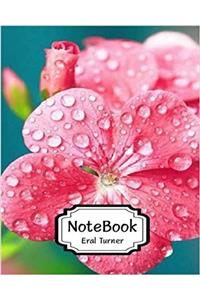 Notebook Lined, Blank No Lined Dew