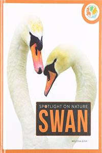 Swan