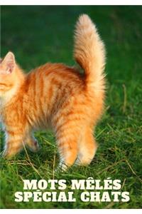 Mots Mêlés Spécial Chats