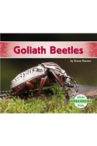 Goliath Beetles