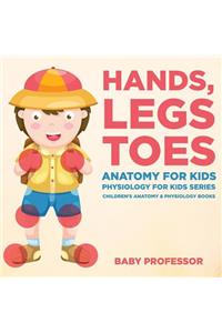 Hands, Legs and Toes Anatomy for Kids
