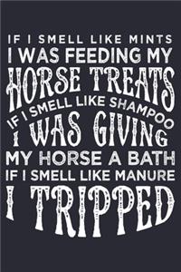 If I Smell Like Mints I was Feeding my Horse Treats If I Smell Like Shampoo I was Giving My Horse a Bath If I Smell Like Manure I Tripped