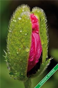 Garden Notes