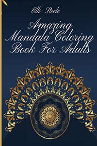 Amazing Mandala Coloring Book For Adults
