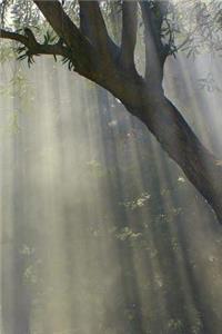 Olive Tree Notebook