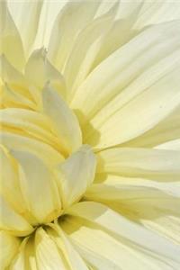 White Petals Notebook