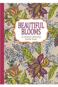 Beautiful Blooms (Colouring Books)