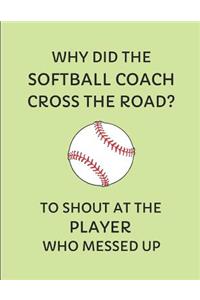 Why Did the Softball Coach Cross the Road? to Shout at the Player Who Messed Up