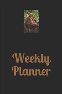 Weekly Planner