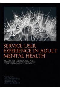 Service User Experience in Adult Mental Health