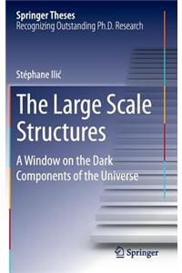 Large Scale Structures