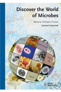 Discover the World of Microbes