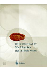 Wie Schnecken Sich in Schale Werfen