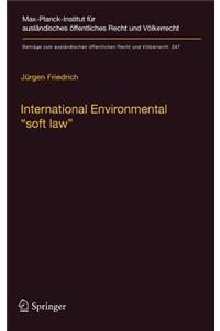 International Environmental 