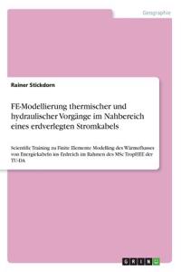 FE-Modellierung thermischer und hydraulischer Vorgänge im Nahbereich eines erdverlegten Stromkabels