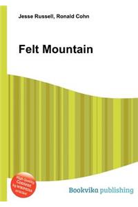 Felt Mountain