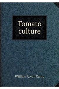 Tomato culture