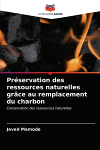 Préservation des ressources naturelles grâce au remplacement du charbon