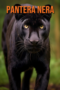 Pantera nera
