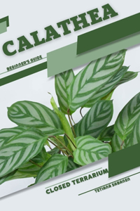 Calathea