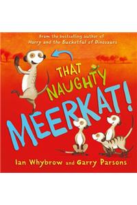 That Naughty Meerkat!