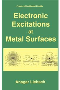 Electronic Excitations at Metal Surfaces