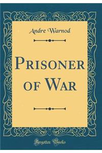 Prisoner of War (Classic Reprint)