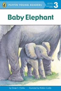 Pyr Lv 3 : Baby Elephant