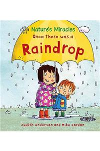 Once there was a Raindrop