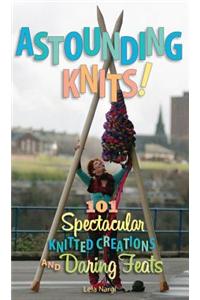 Astounding Knits!: 101 Spectacular Knitted Creations and Daring Feats