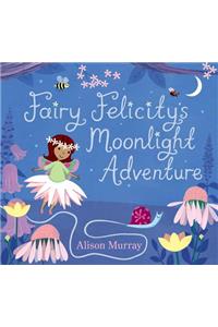 Fairy Felicity's Moonlight Adventure