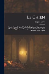 Chien