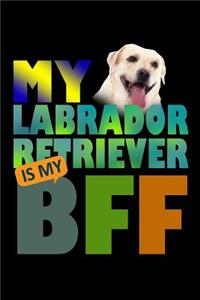 My Labrador Retriever is my BFF