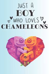 Just A Boy Who Loves Chameleons