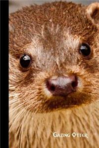 gazing otter